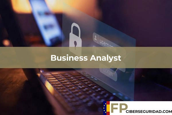 Business Analyst