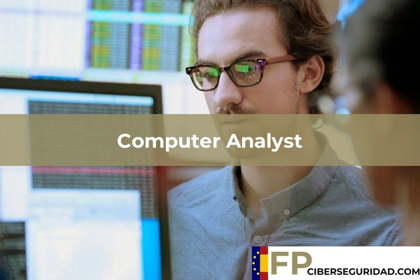 Computer Analyst