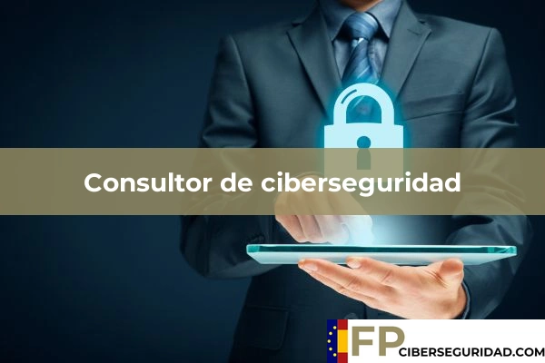 Consultor de ciberseguridad