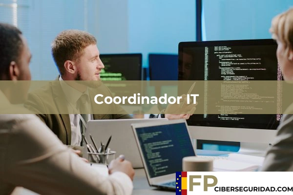 Coordinador IT