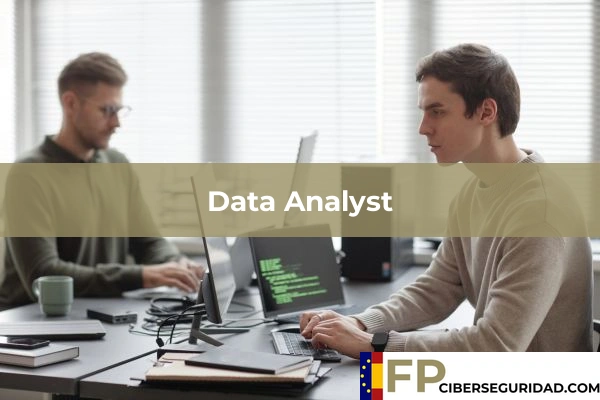 Data Analyst