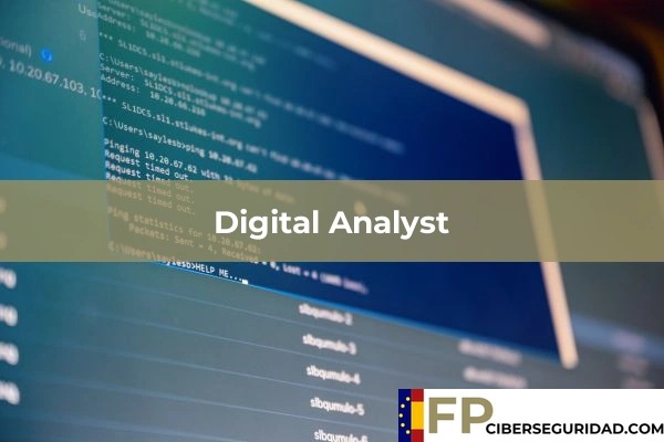 Digital Analyst