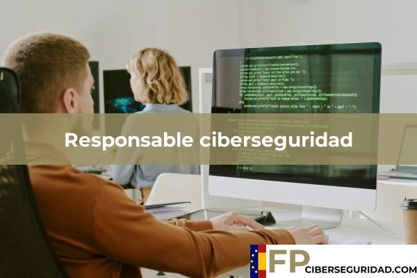 Responsable ciberseguridad