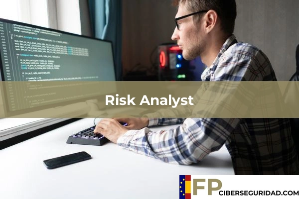 Risk Analyst